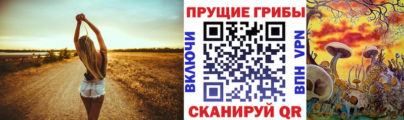 Купить где  Озёры  Псилоцибиновые грибы Magic Shrooms 